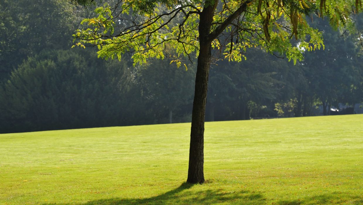 Parc Bel Air (4)
